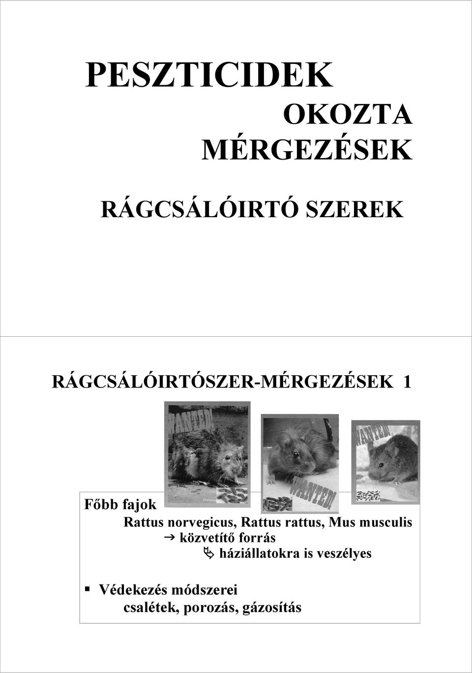 norvegicus, Rattus rattus, Mus musculis közvetítı forrás