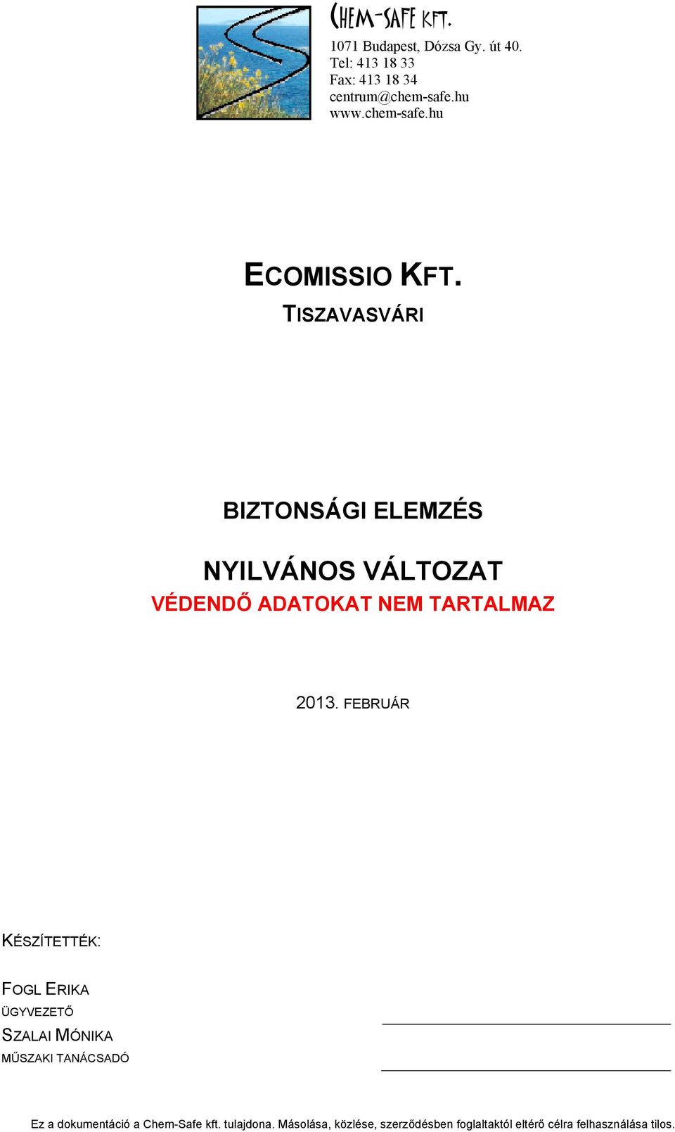 TISZAVASVÁRI BIZTONSÁGI ELEMZÉS NYILVÁNOS VÁLTOZAT VÉDENDŐ ADATOKAT NEM TARTALMAZ 2013.