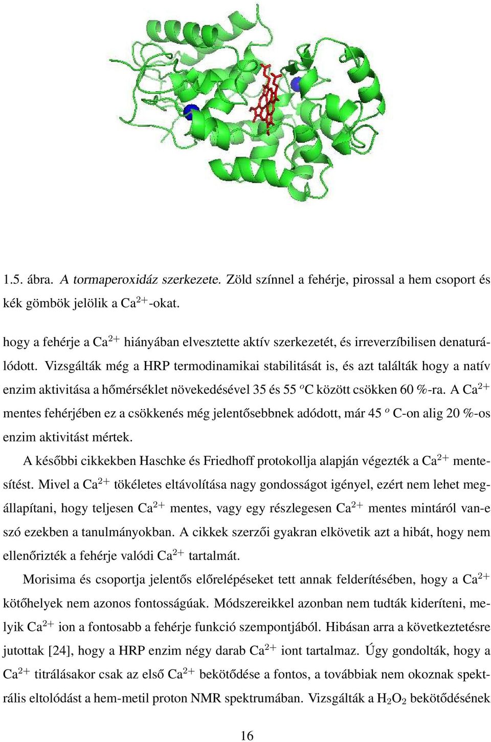 Vizsgálták még a HRP termodinamikai stabilitását is, és azt találták hogy a natív enzim aktivitása a hőmérséklet növekedésével 35 és 55 o C között csökken 60 %-ra.