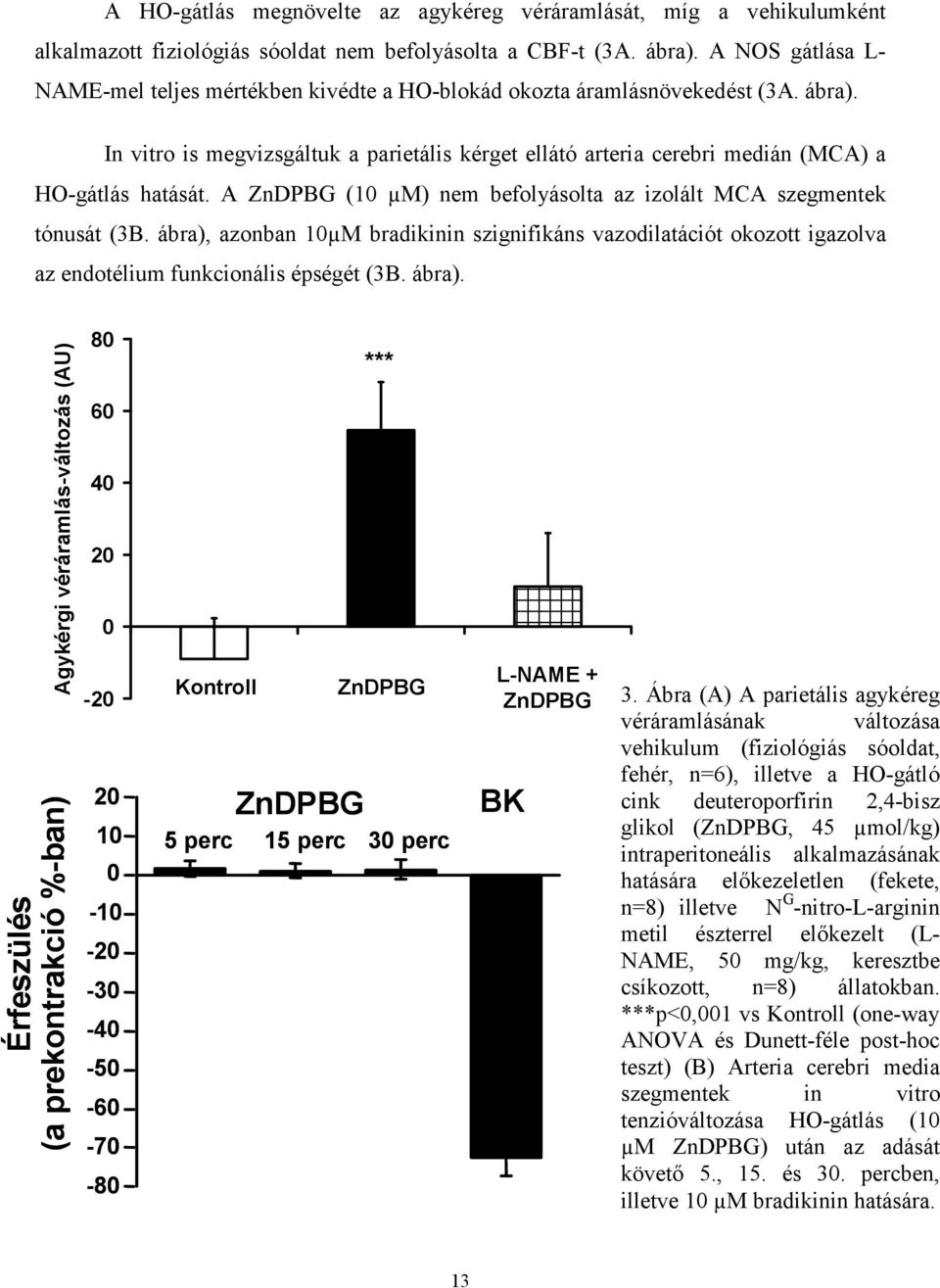 In vitro is megvizsgáltuk a parietális kérget ellátó arteria cerebri medián (MCA) a HO-gátlás hatását. A ZnDPBG (10 µm) nem befolyásolta az izolált MCA szegmentek tónusát (3B.