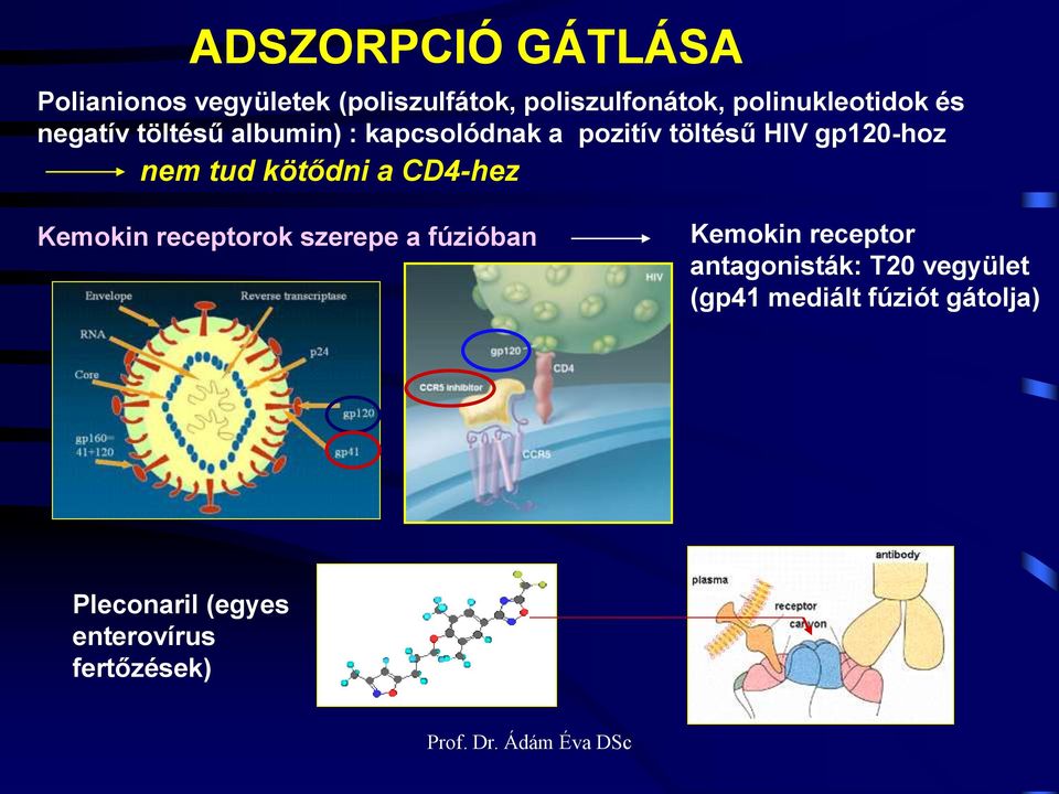 a CD4-hez Kemokin receptorok szerepe a fúzióban Kemokin receptor antagonisták: T20 vegyület