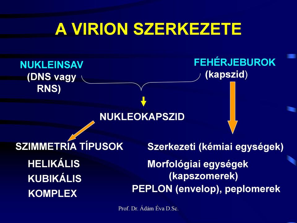 HELIKÁLIS KUBIKÁLIS KOMPLEX Szerkezeti (kémiai