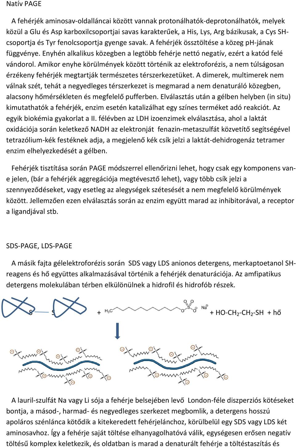 Amikor enyhe körülmények között történik az elektroforézis, a nem túlságosan érzékeny fehérjék megtartják természetes térszerkezetüket.