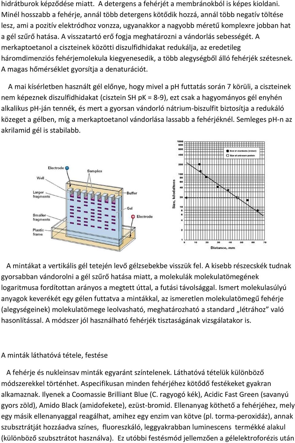 A visszatartó erő fogja meghatározni a vándorlás sebességét.