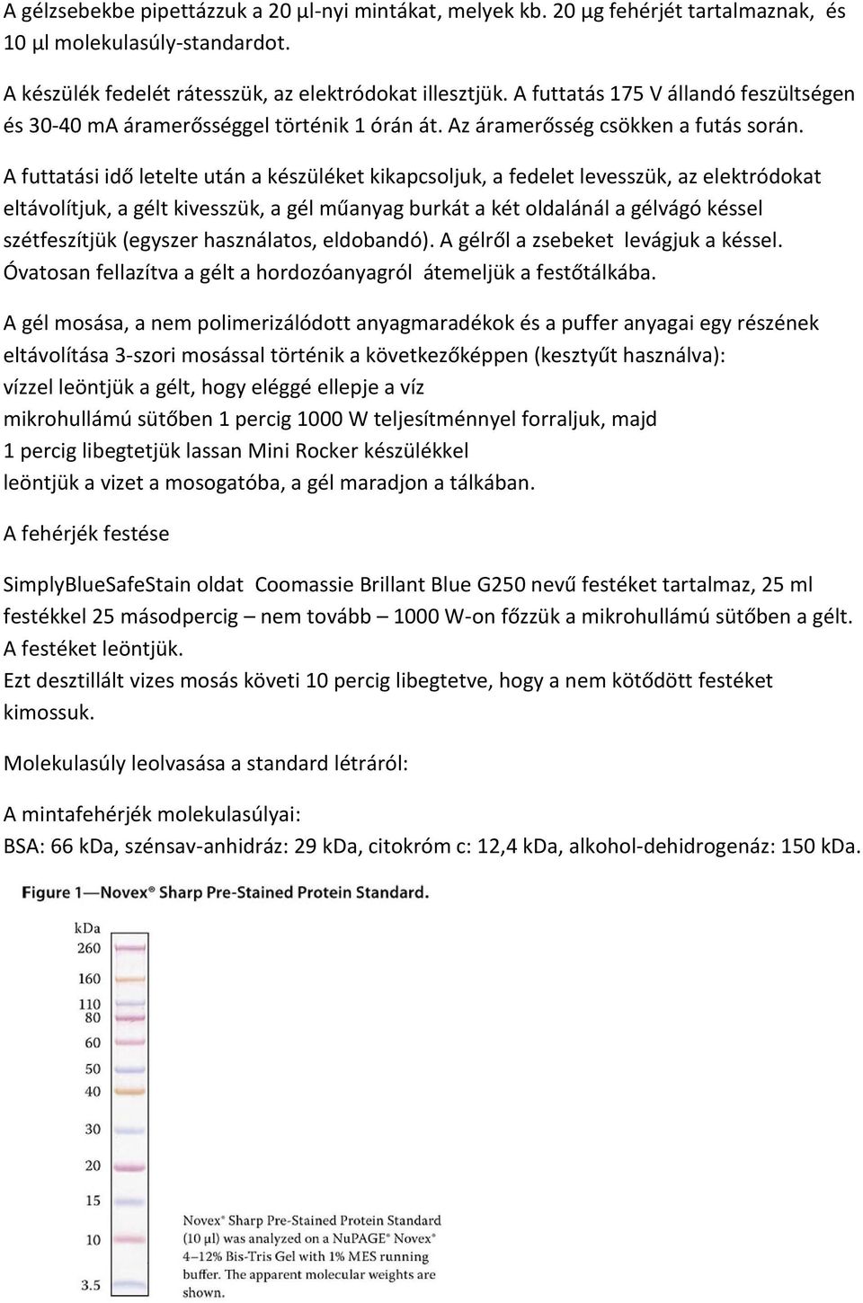 A futtatási idő letelte után a készüléket kikapcsoljuk, a fedelet levesszük, az elektródokat eltávolítjuk, a gélt kivesszük, a gél műanyag burkát a két oldalánál a gélvágó késsel szétfeszítjük