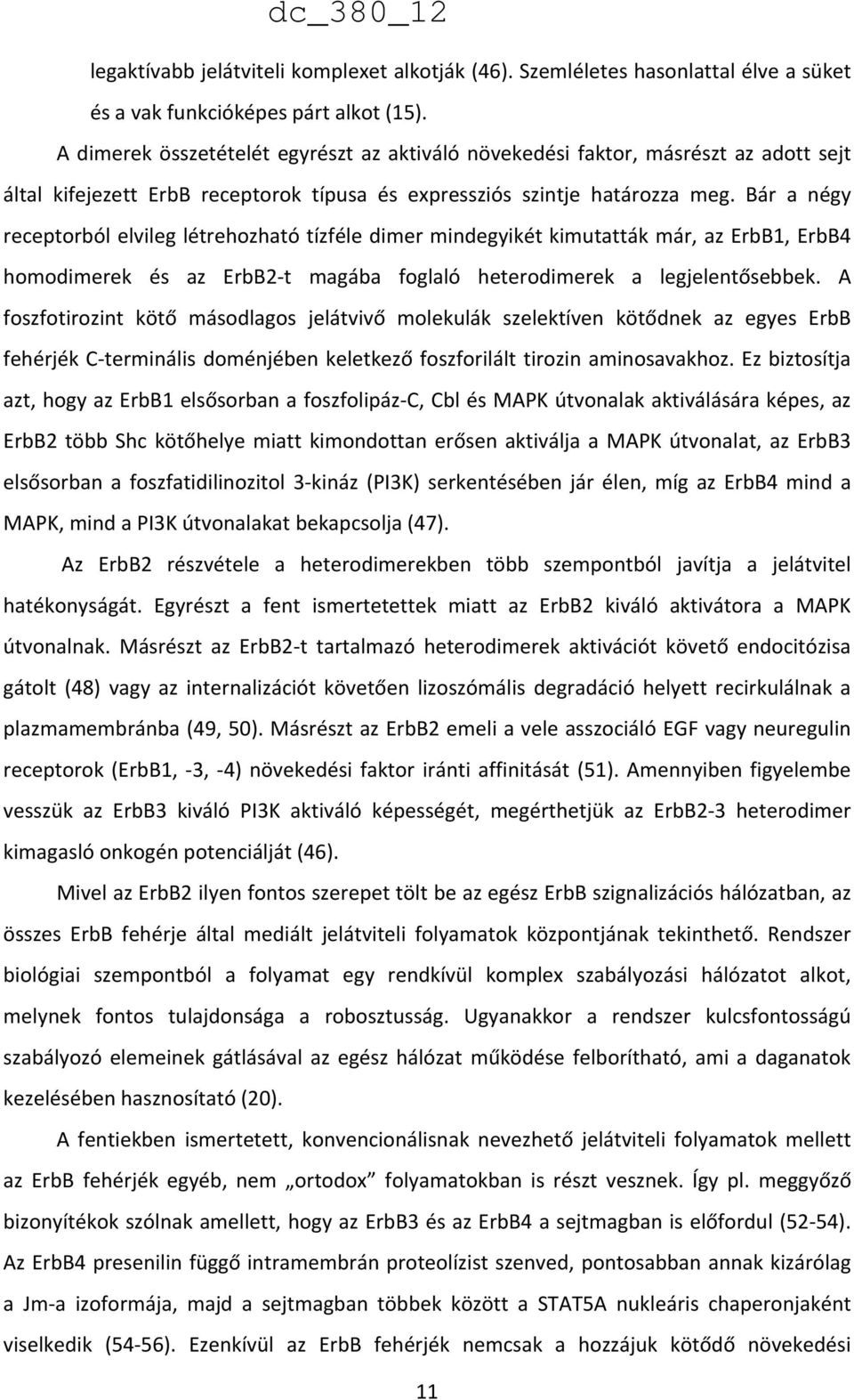 Bár a négy receptorból elvileg létrehozható tízféle dimer mindegyikét kimutatták már, az ErbB1, ErbB4 homodimerek és az ErbB2 t magába foglaló heterodimerek a legjelentősebbek.