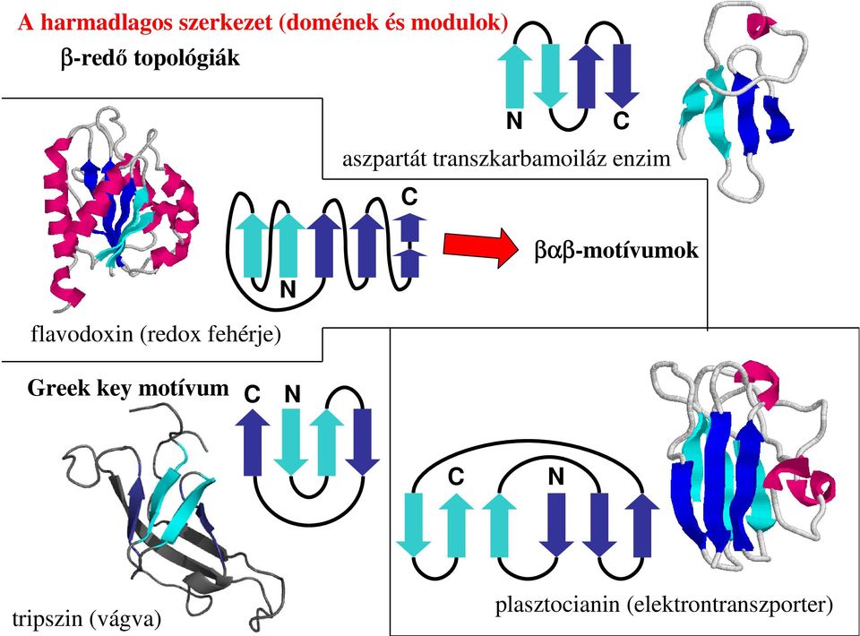 βαβ-motívumok flavodoxin (redox fehérje) Greek key