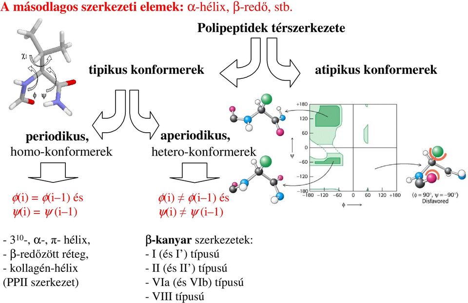 aperiodikus, hetero-konformerek φ(i) = φ(i 1) és ψ(i) = ψ (i 1) - 3 10 -, α-, π- hélix, - β-redőzött