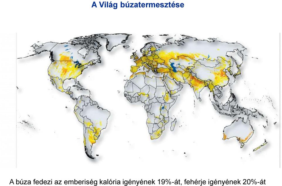 kalória igényének 19%-át,