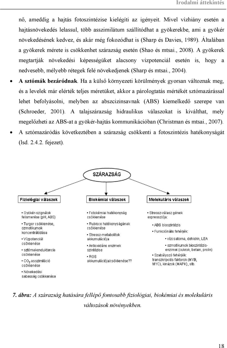 Általában a gyökerek mérete is csökkenhet szárazság esetén (Shao és mtsai., 2008).