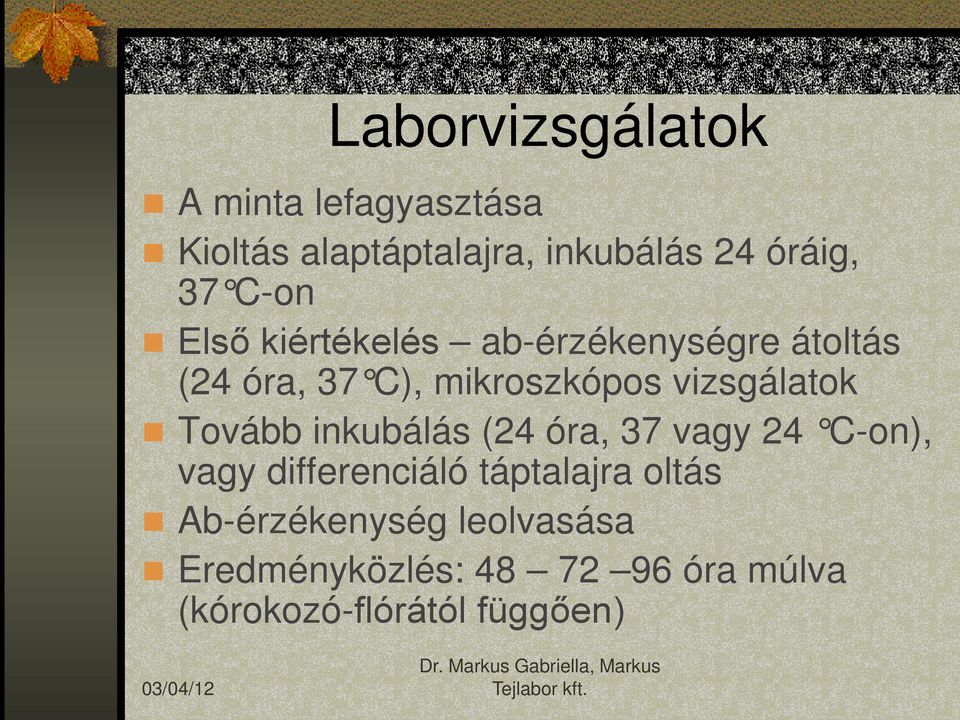 vizsgálatok Tovább inkubálás (24 óra, 37 vagy 24 C-on), vagy differenciáló táptalajra