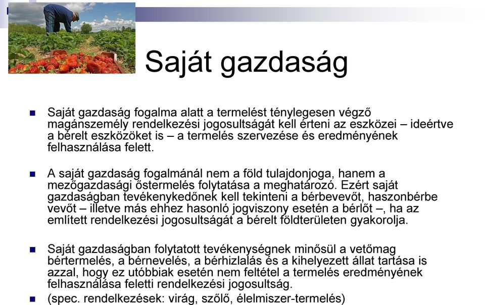 Ezért saját gazdaságban tevékenykedőnek kell tekinteni a bérbevevőt, haszonbérbe vevőt illetve más ehhez hasonló jogviszony esetén a bérlőt, ha az említett rendelkezési jogosultságát a bérelt