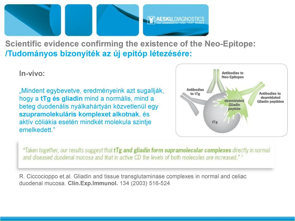 közvetlenül egy szupramolekuláris komplexet alkotnak, és aktív cöliákia esetén mindkét molekula szintje emelkedett. R.