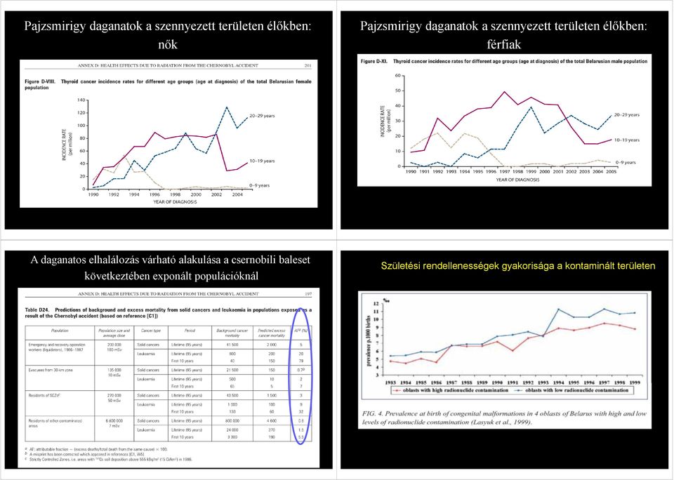 elhalálozás várható alakulása a csernobili baleset következtében