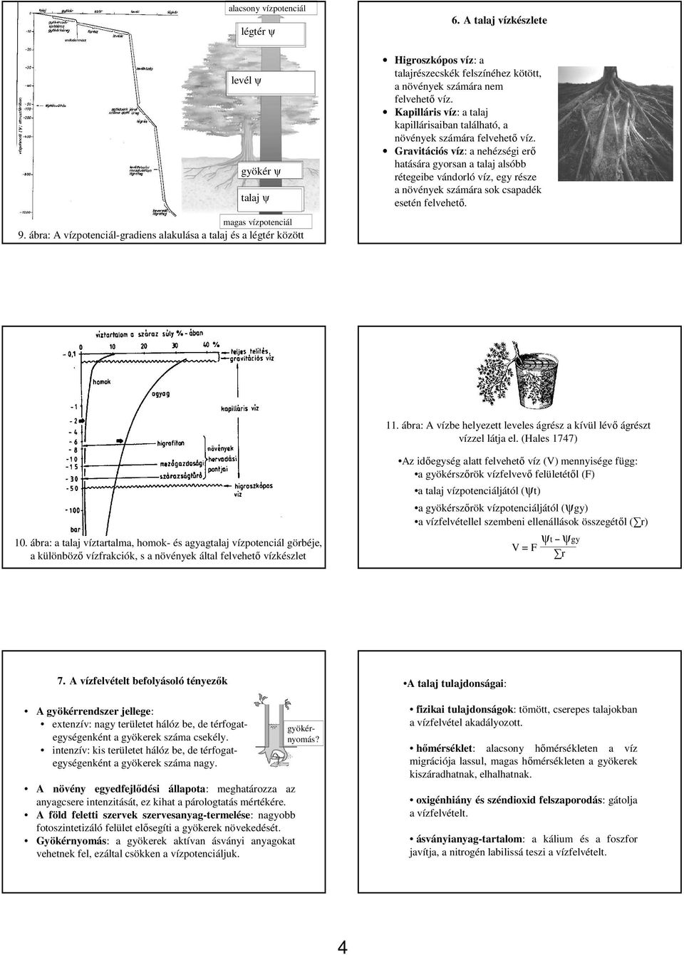 Gravitációs víz: a nehézségi erı hatására gyorsan a talaj alsóbb rétegeibe vándorló víz, egy része a növények számára sok csapadék esetén felvehetı. magas vízpotenciál 9.