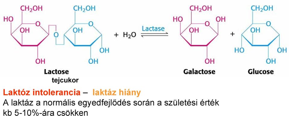 normális egyedfejlődés során