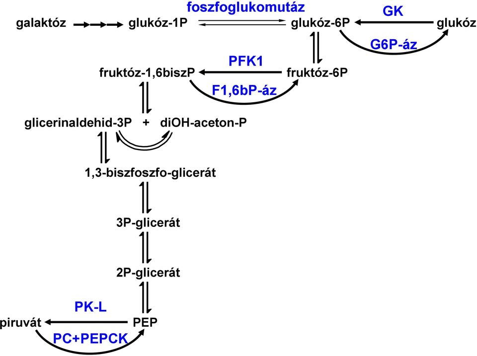 G6P-áz glicerinaldehid-3p + dioh-aceton-p