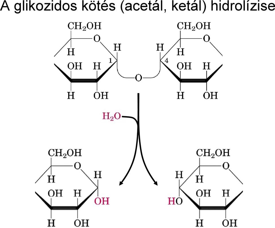 kötés