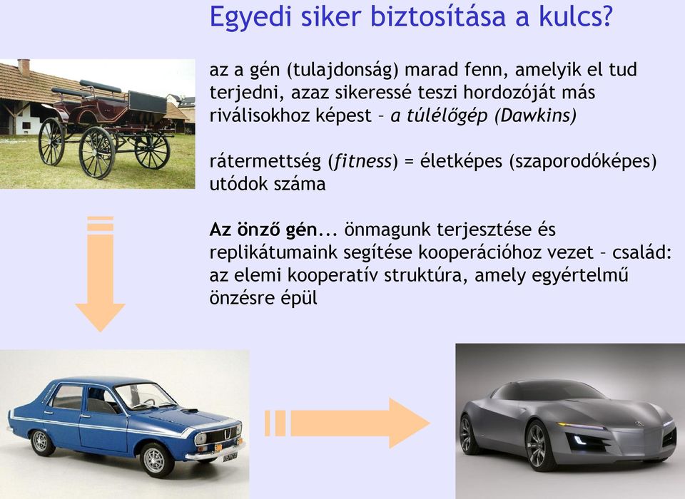 riválisokhoz képest a túlélőgép (Dawkins) rátermettség (fitness) = életképes (szaporodóképes)