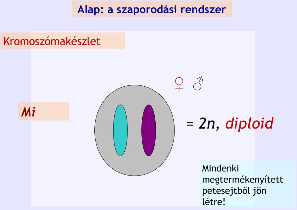 diploid Mindenki