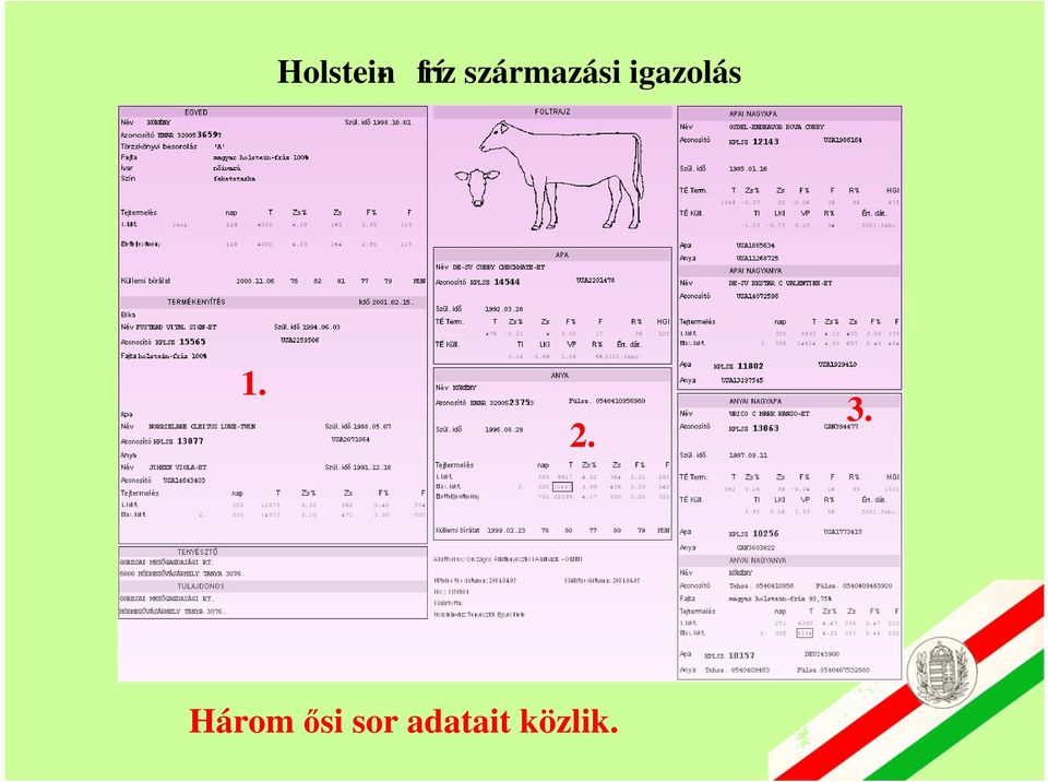 igazolás 1. 2. 3.