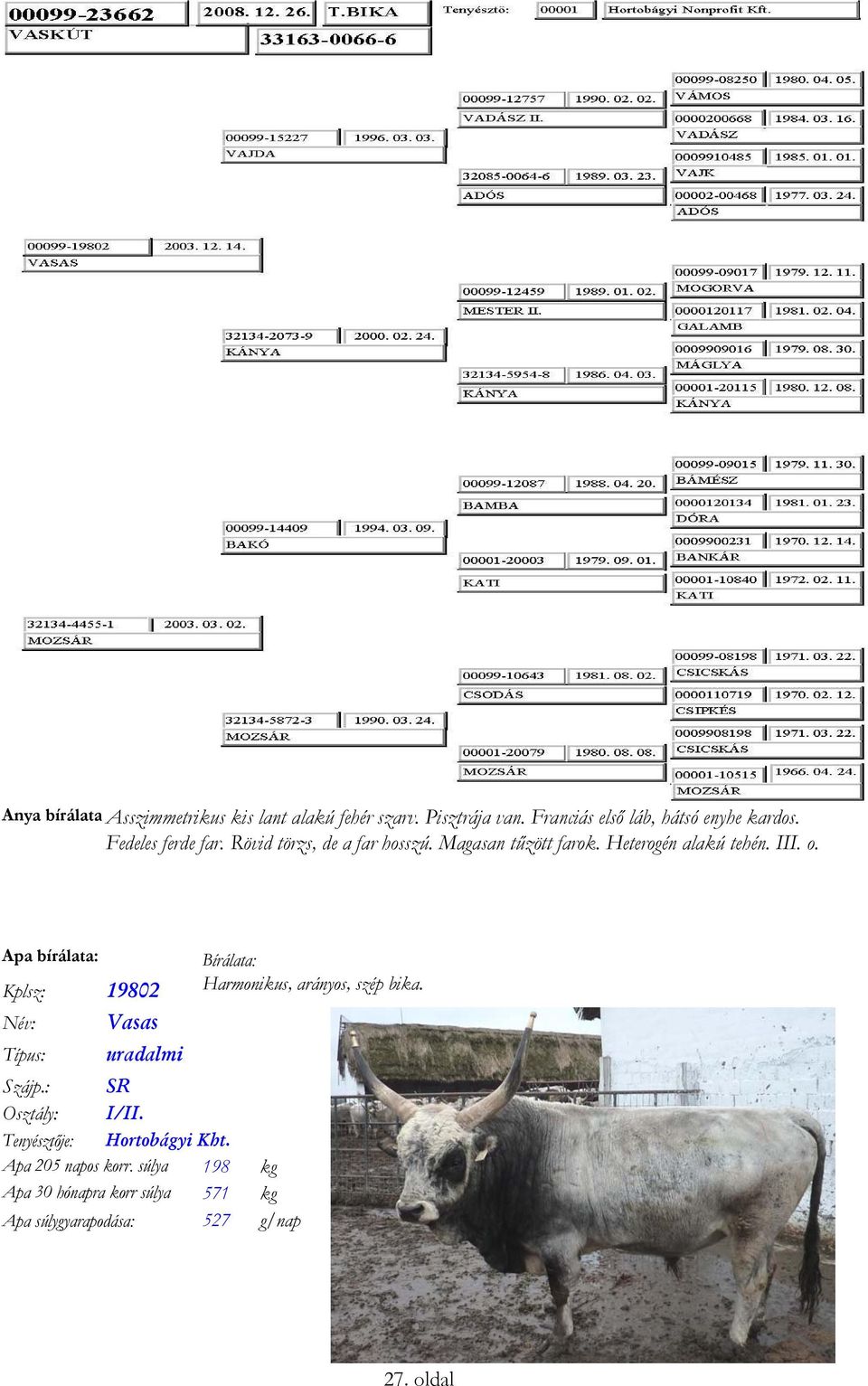 Heterogén alakú tehén. III. o. Apa bírálata: Kplsz: 19802 Név: Típus: Szájp.: Osztály: Vasas uradalmi SR I/II.