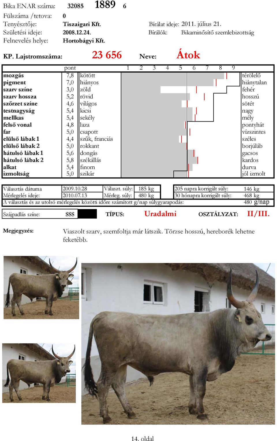 23 656 pont mozgás 7,8 kötött pigment 7,0 hiányos szarv színe 3,0 zöld szarv hossza 5,2 rövid szőrzet színe 4,6 világos testnagyság 5,4 kicsi mellkas 5,4 sekély felső vonal 4,8 laza far 5,0 csapott