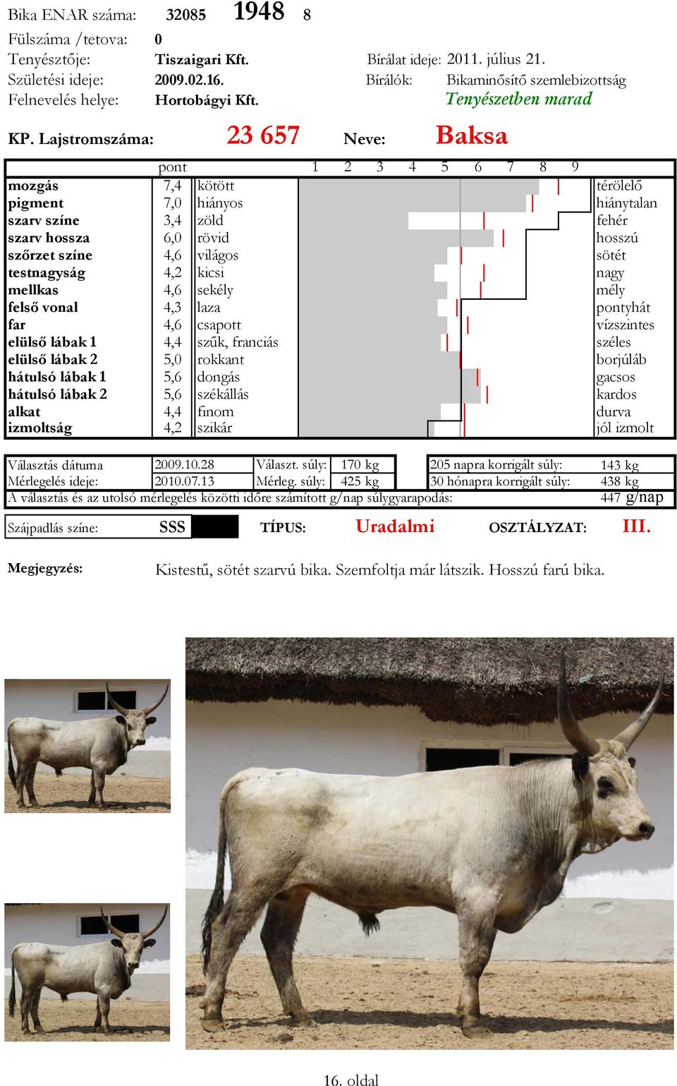 23 657 pont mozgás 7,4 kötött pigment 7,0 hiányos szarv színe 3,4 zöld szarv hossza 6,0 rövid szőrzet színe 4,6 világos testnagyság 4,2 kicsi mellkas 4,6 sekély felső vonal 4,3 laza far 4,6 csapott