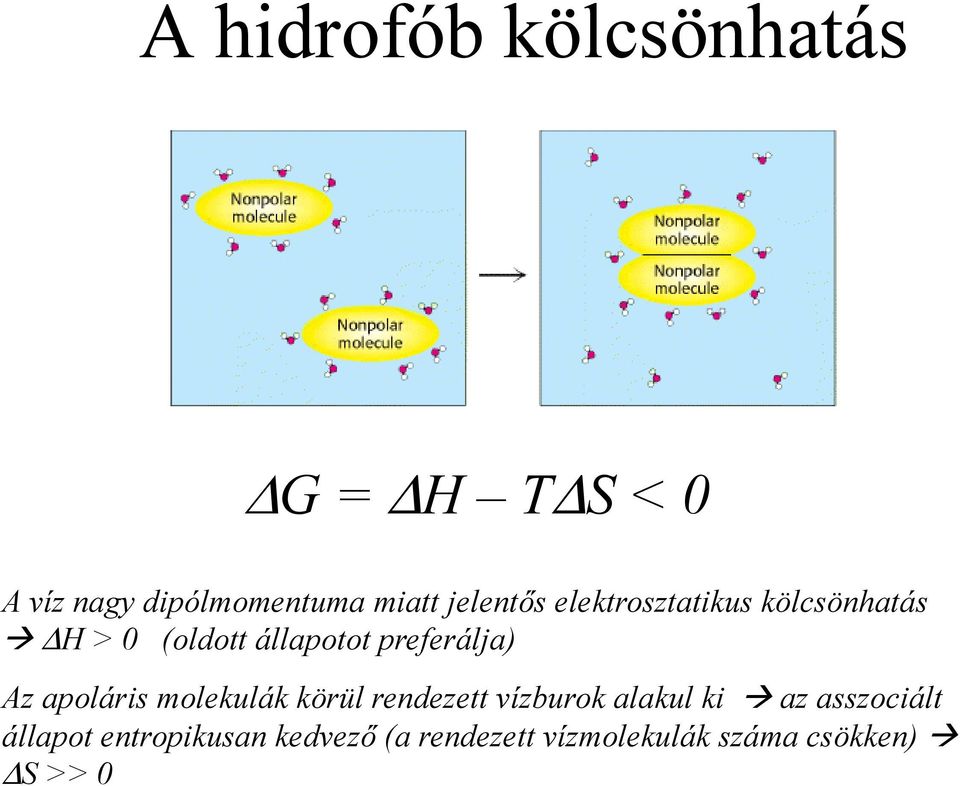 preferálja) Az apoláris molekulák körül rendezett vízburok alakul ki az