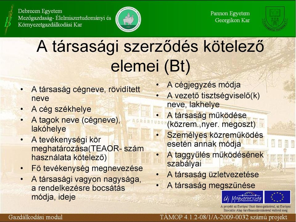 rendelkezésre bocsátás módja, ideje elemei (Bt) A cégjegyzés módja A vezető tisztségviselő(k) neve, lakhelye A társaság működése