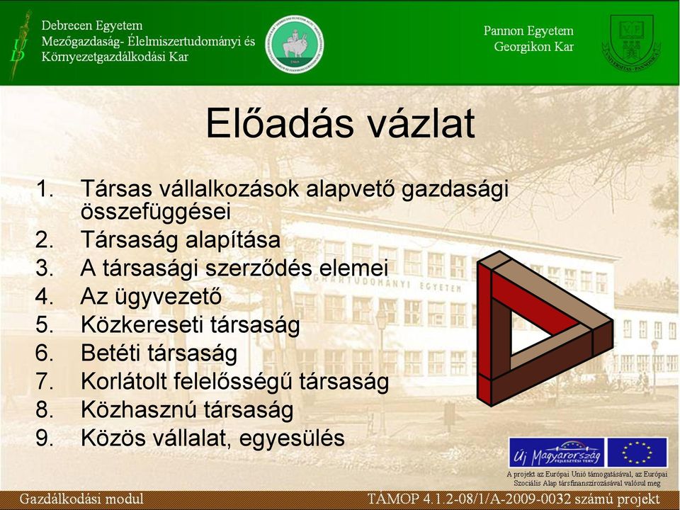 Társaság alapítása 3. A társasági szerződés elemei 4.