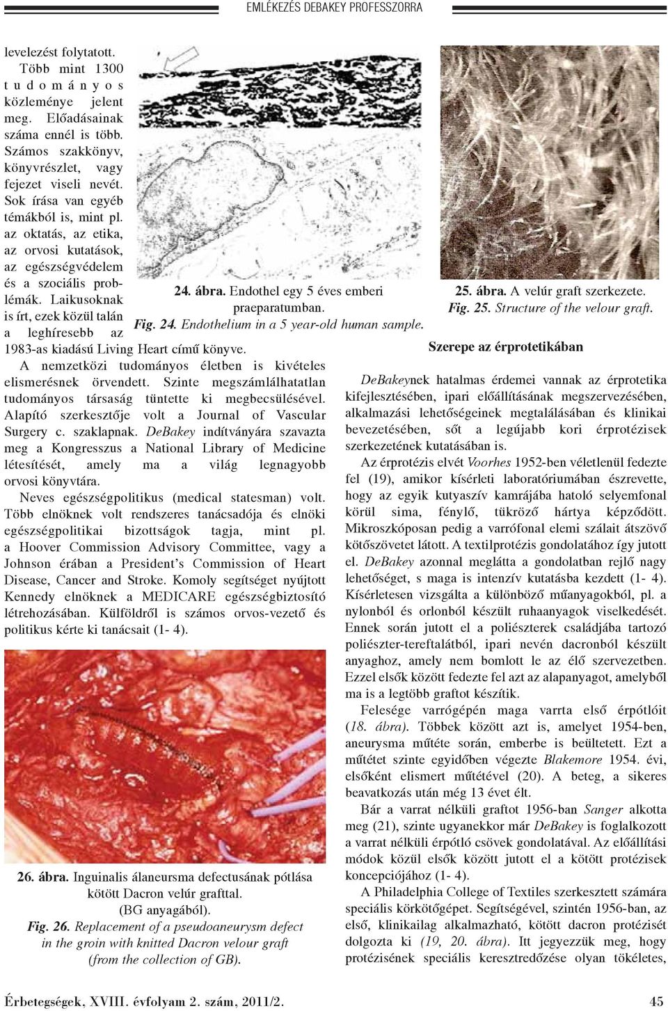 Laikusoknak is írt, ezek közül talán a leghíresebb az 1983-as kiadású Living Heart címû könyve. 24. ábra. Endothel egy 5 éves emberi praeparatumban. Fig. 24. Endothelium in a 5 year-old human sample.