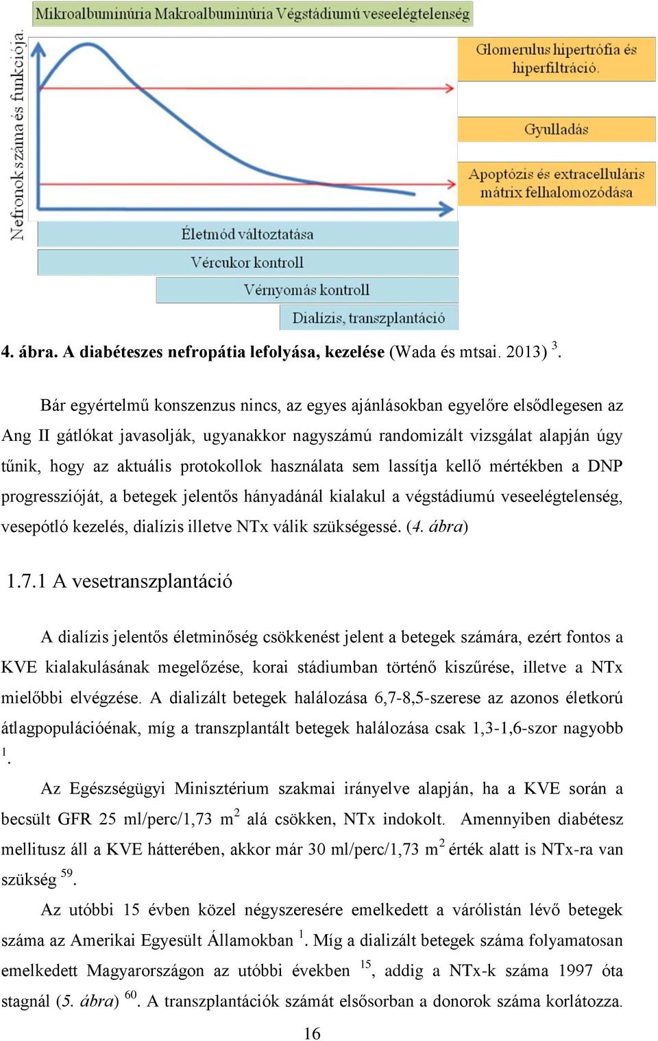 használata sem lassítja kellő mértékben a DNP progresszióját, a betegek jelentős hányadánál kialakul a végstádiumú veseelégtelenség, vesepótló kezelés, dialízis illetve NTx válik szükségessé. (4.