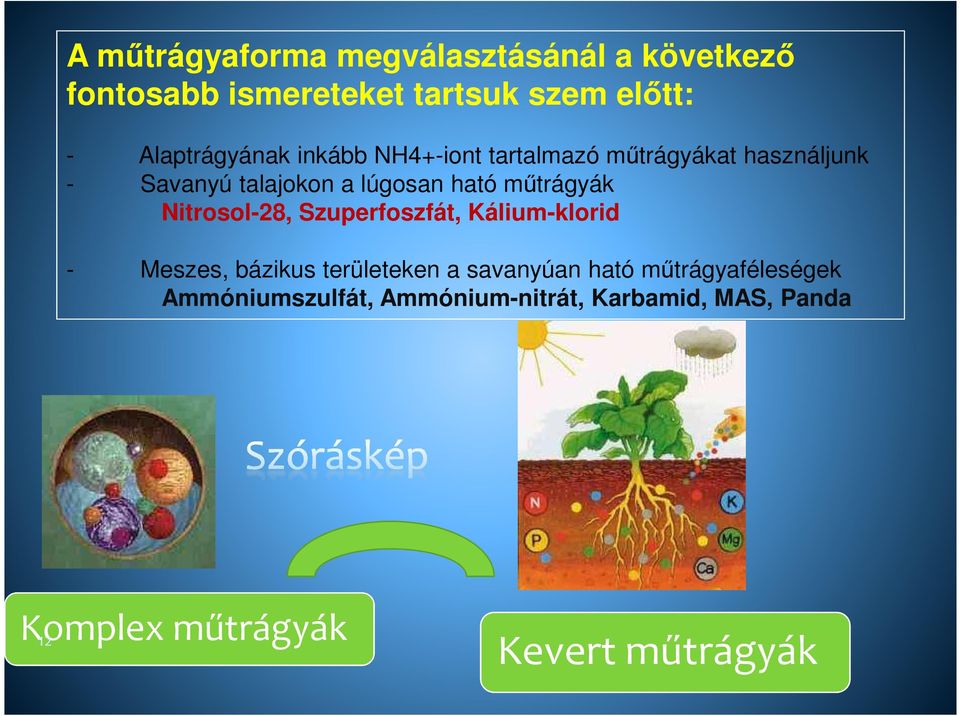 ható mőtrágyák Nitrosol-28, Szuperfoszfát, Kálium-klorid - Meszes, bázikus területeken a savanyúan