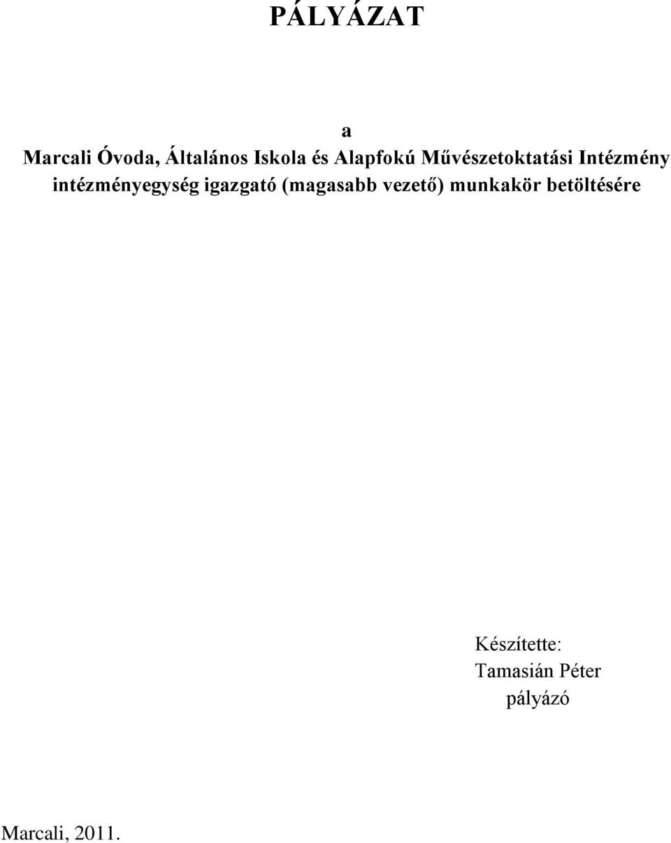 intézményegység igazgató (magasabb vezető)