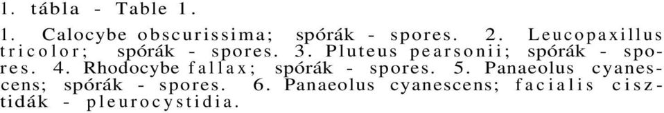 Pluteus pearsonii; spórák - spores. 4.