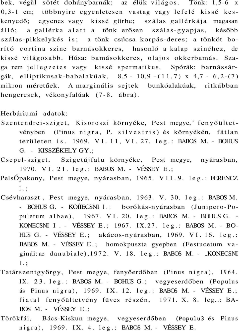 szálas-pikkelykés is; a tönk csúcsa korpás-deres; a tönköt borító cortina szine barnásokkeres, hasonló a kalap szinéhez, de kissé világosabb. Húsa: bamásokkeres, olajos okkerbamás.