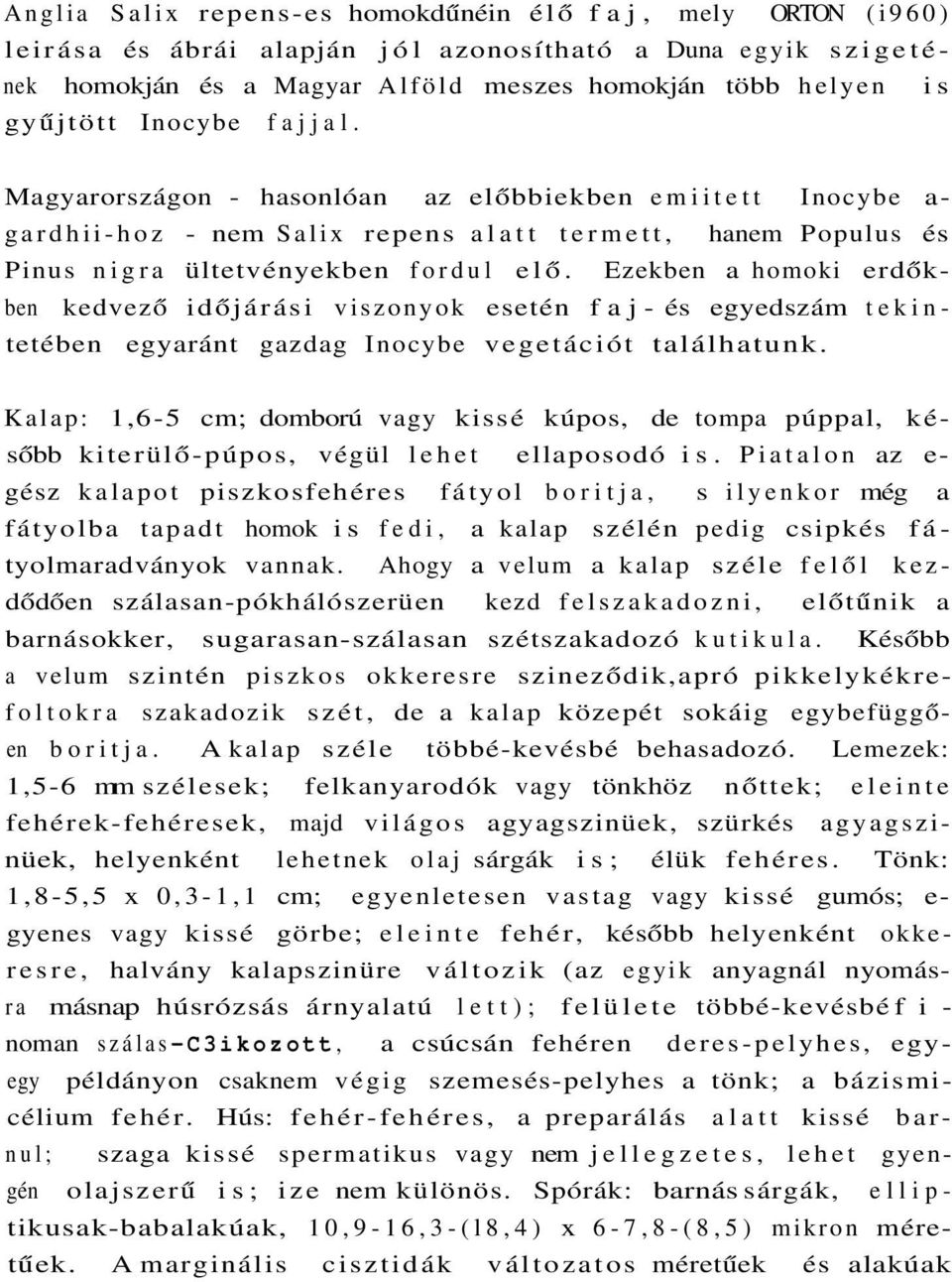 Ezekben a homoki erdőkben kedvező időjárási viszonyok esetén faj- és egyedszám tekintetében egyaránt gazdag Inocybe vegetációt találhatunk.