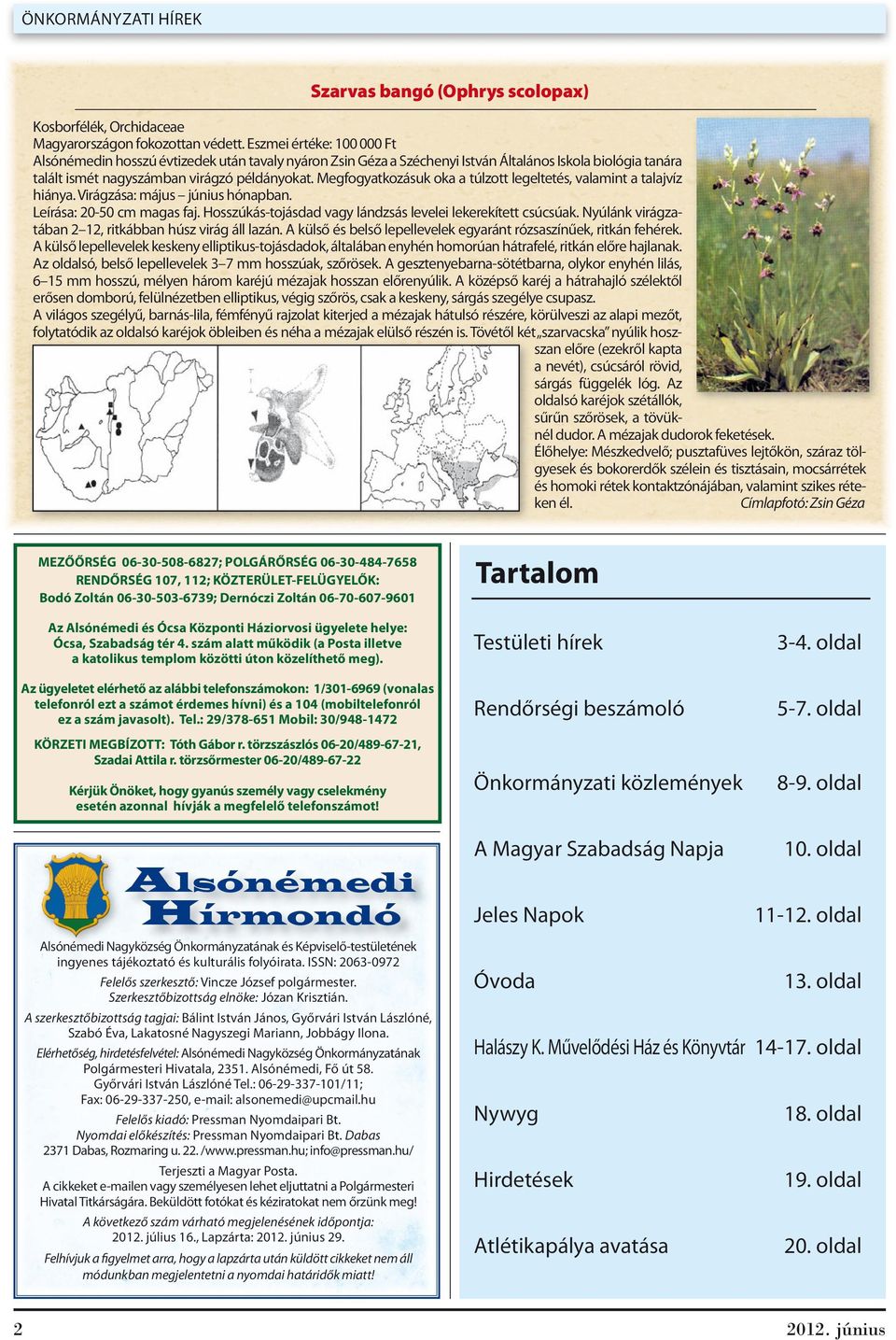 Megfogyatkozásuk oka a túlzott legeltetés, valamint a talajvíz hiánya. Virágzása: május június hónapban. Leírása: 20-50 cm magas faj. Hosszúkás-tojásdad vagy lándzsás levelei lekerekített csúcsúak.