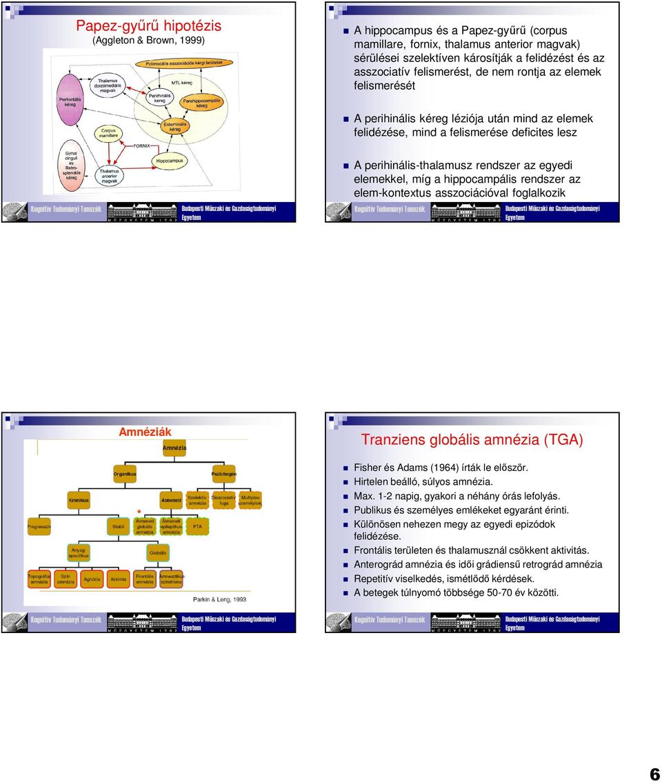 míg a hippocampális rendszer az elem-kontextus asszociációval foglalkozik Amnéziák * Tranziens globális amnézia (TGA) Fisher és Adams (1964) írták le először. Hirtelen beálló, súlyos amnézia. Max.