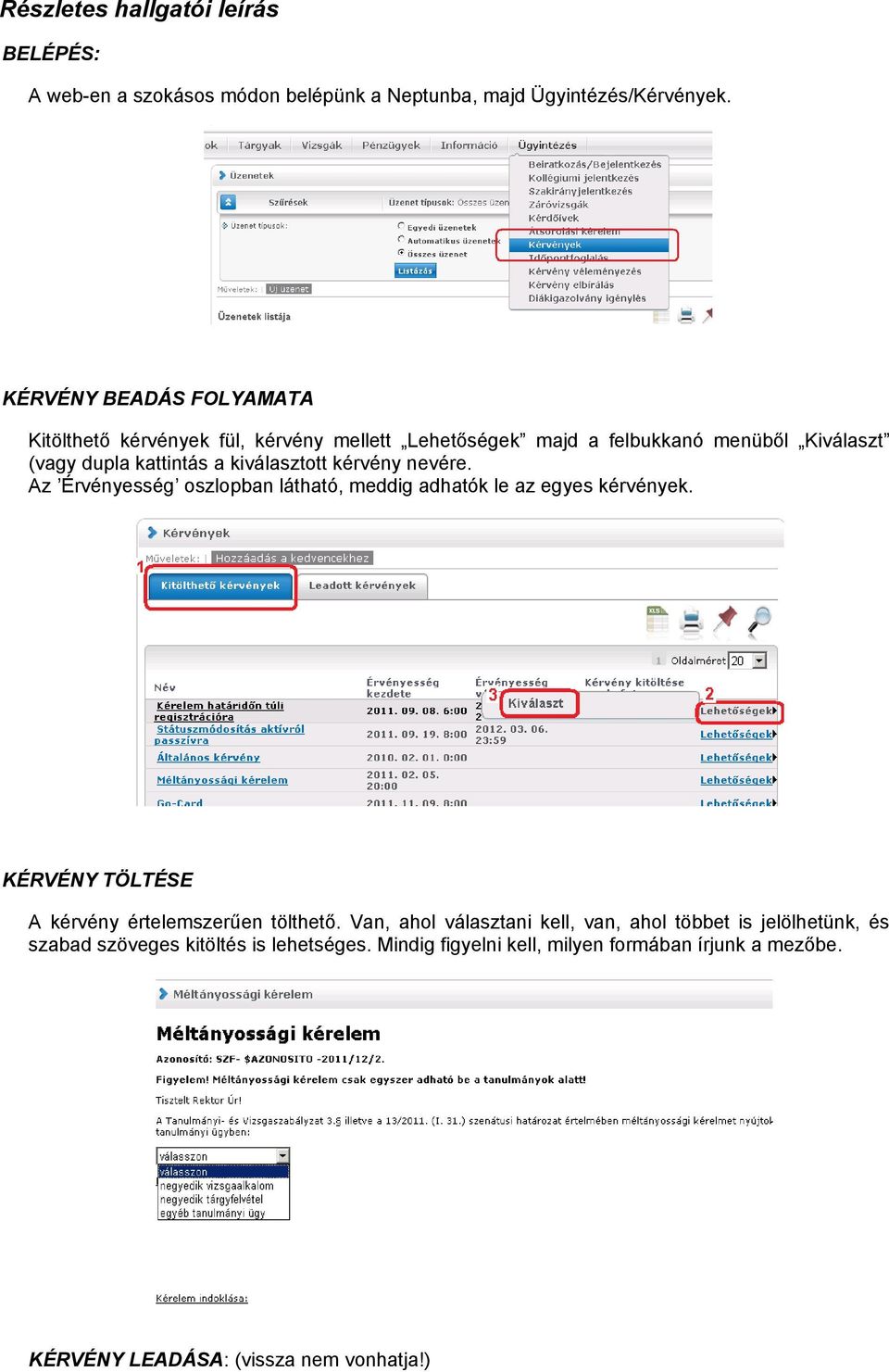 kiválasztott kérvény nevére. Az Érvényesség oszlopban látható, meddig adhatók le az egyes kérvények.