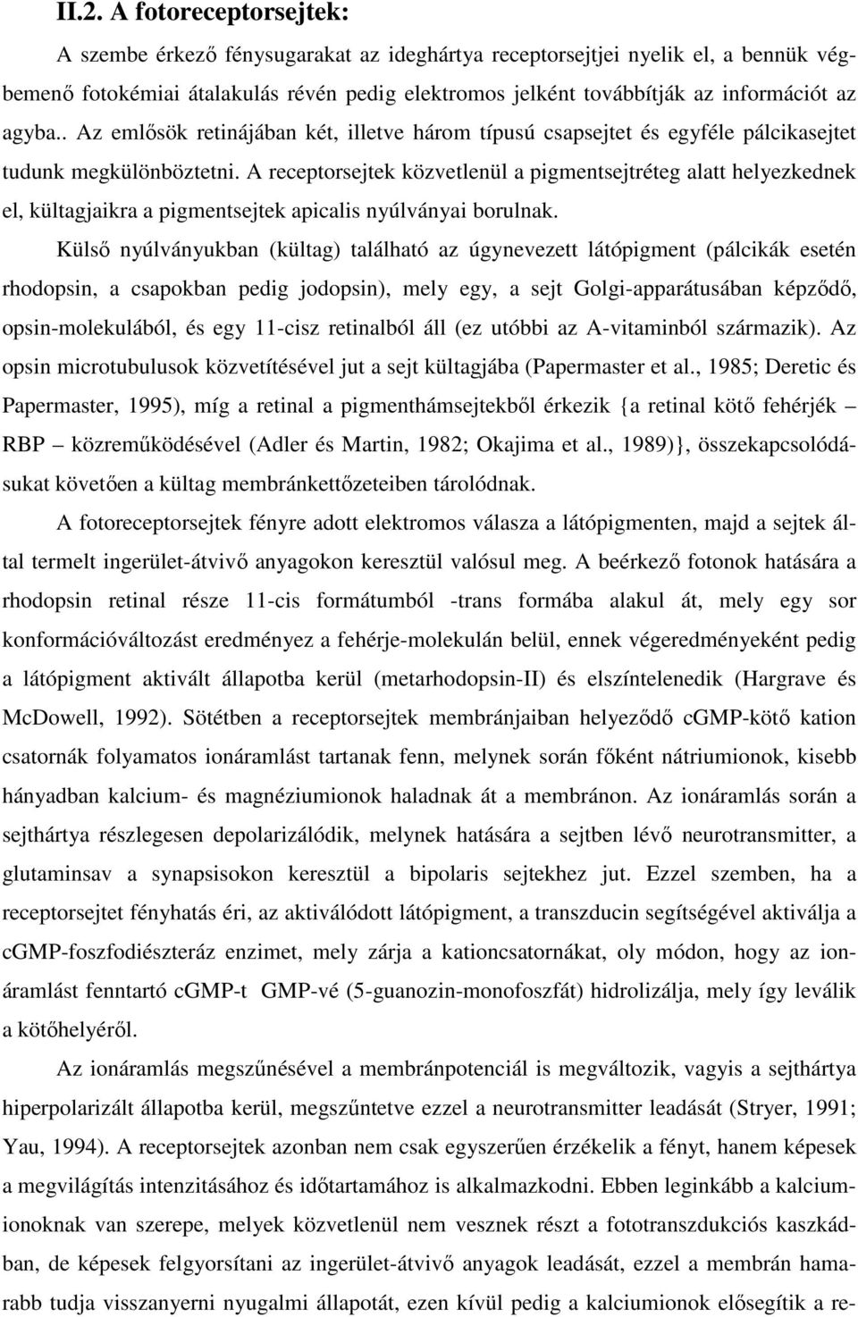 A receptorsejtek közvetlenül a pigmentsejtréteg alatt helyezkednek el, kültagjaikra a pigmentsejtek apicalis nyúlványai borulnak.