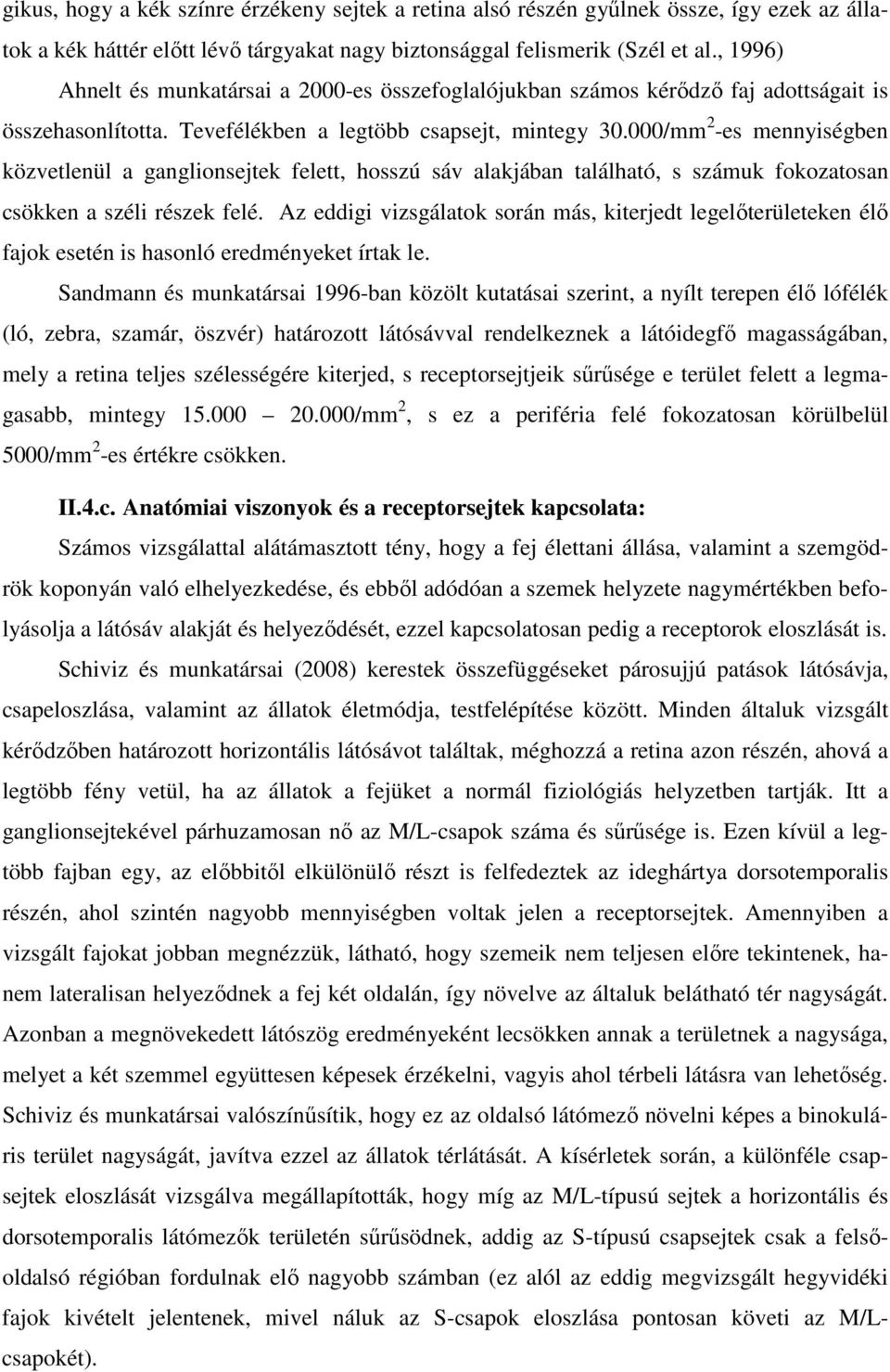 000/mm 2 -es mennyiségben közvetlenül a ganglionsejtek felett, hosszú sáv alakjában található, s számuk fokozatosan csökken a széli részek felé.