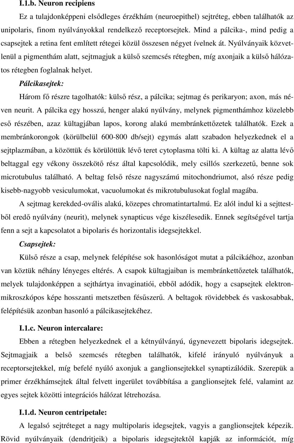 Nyúlványaik közvetlenül a pigmenthám alatt, sejtmagjuk a külső szemcsés rétegben, míg axonjaik a külső hálózatos rétegben foglalnak helyet.