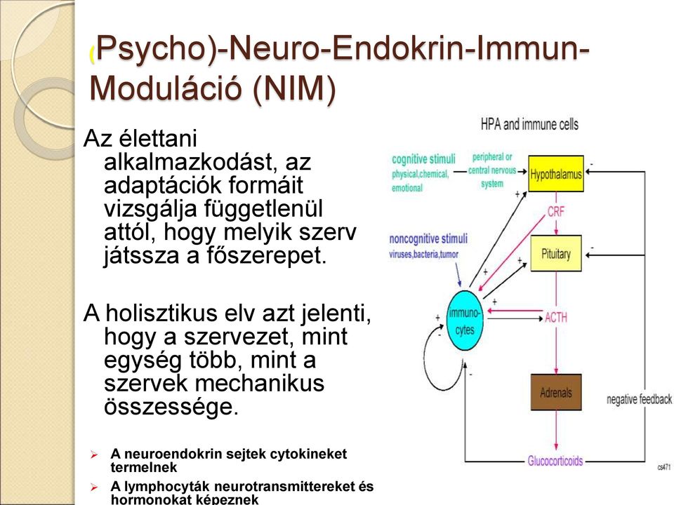 adaptációk formáit vizsgálja függetlenül attól, hogy melyik szerv játssza a főszerepet.