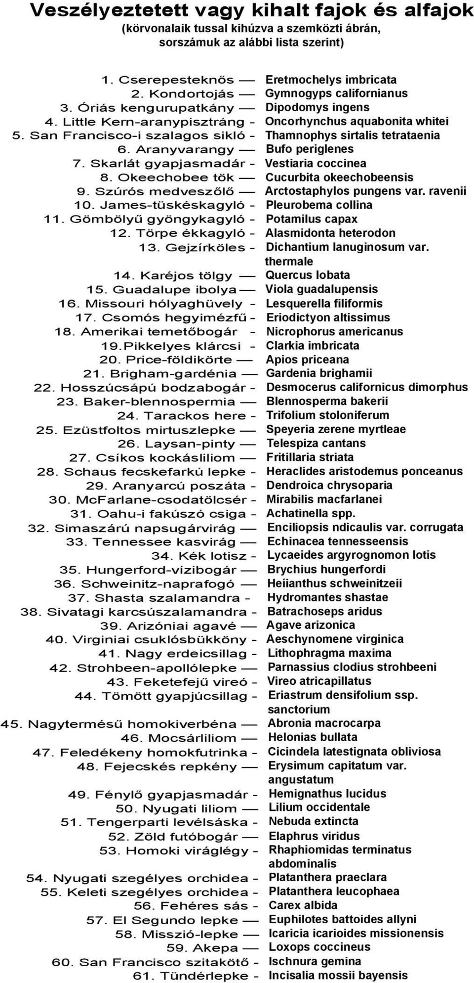 Gömbölyű gyöngykagyló - 12. Törpe ékkagyló - 13. Gejzírköles - 14. Karéjos tölgy 15. Guadalupe ibolya 16. Missouri hólyaghüvely - 17. Csomós hegyimézfű - 18. Amerikai temetőbogár - 19.