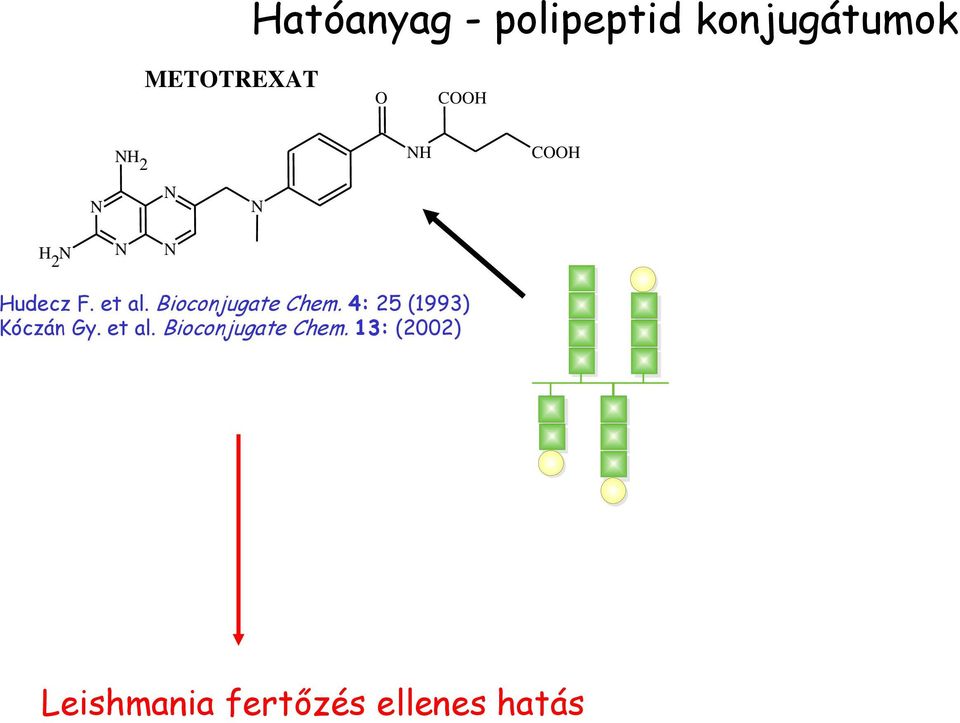 Bioconjugate Chem. 4: 25 (1993) Kóczán Gy.