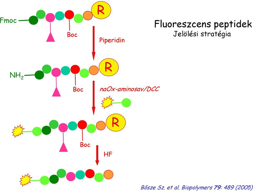 Boc nax-aminosav/dcc R Boc HF Bősze