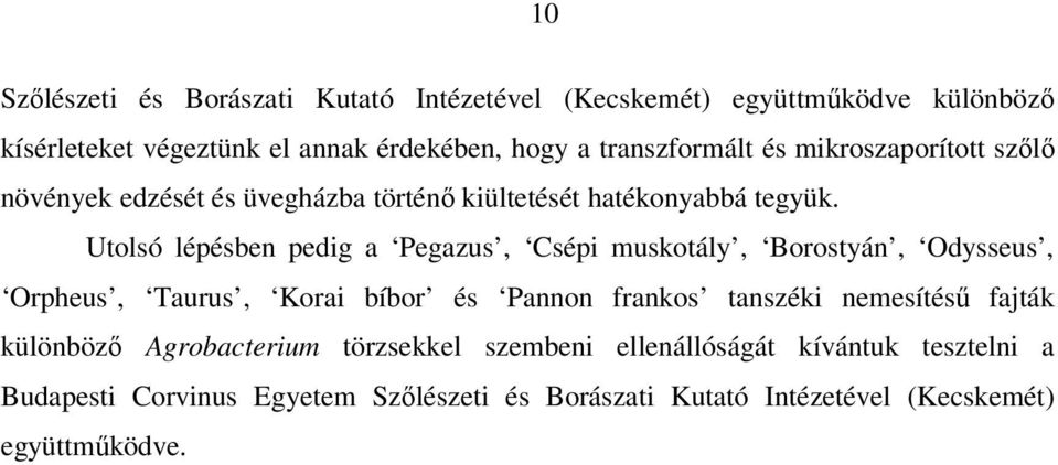 Utolsó lépésben pedig a Pegazus, Csépi muskotály, Borostyán, Odysseus, Orpheus, Taurus, Korai bíbor és Pannon frankos tanszéki nemesítésű