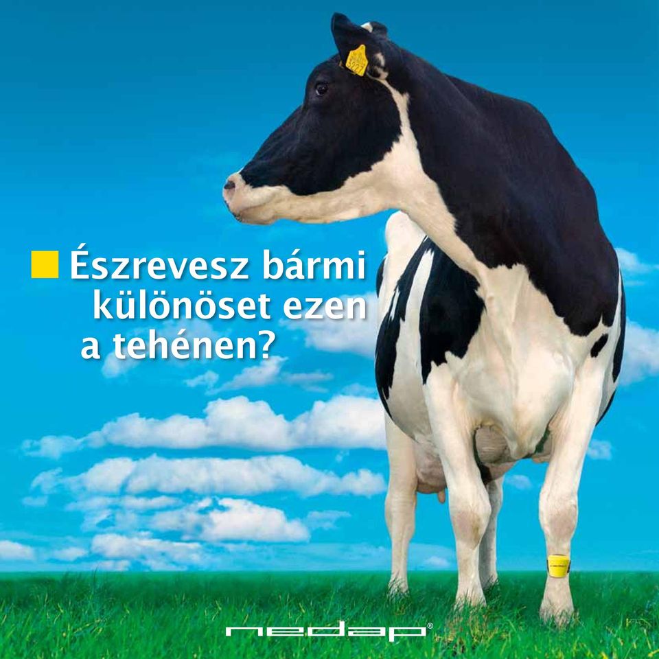 különöset